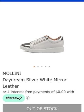 MOLLINI
Daydream Silver White Mirror
Leather